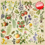 Fabrika Decoru 'Summer Botanical Diary' 12x12 Pad - FDSP-01107