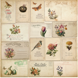 Fabrika Decoru Spring Botanical Story 8x8 Pad -FDSP-02131