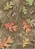 Stamperia A6 Decoupage Forest 8 Assorted Printed DFSAK6030