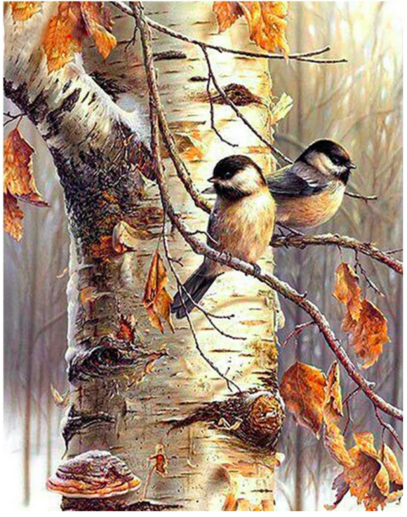 NEW Diamond Art Birds on Birch Tree  40x30cm