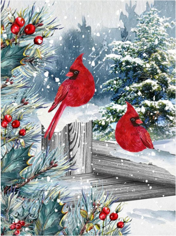 NEW Diamond Art Christmas Cardinals  30x40cm