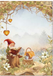 Stamperia A4 Decoupage Rice Paper Whispering Woods Gnome DFSA41060