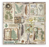 NEW Stamperia Herbarium Silvae  8x8 Pad (22 Single Sided Sheets) SBBSXB20