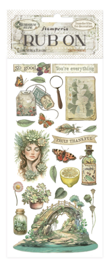 NEW Stamperia Herbarium Silvae Bridge Rub On DFLRB211