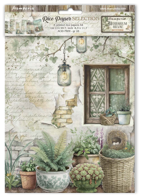 NEW Stamperia A4 x 6 Decoupage Rice Papers Herbarium Silvae DFSA4XHS