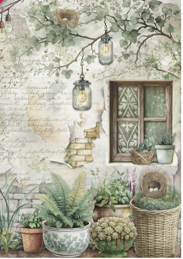 NEW Stamperia A4 Decoupage Rice Paper Herbarium Silvae Window DFSA41077