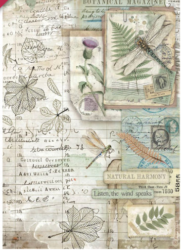 NEW Stamperia A4 Decoupage Rice Paper Herbarium Silvae Botanic DFSA41078