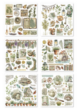 NEW Stamperia Herbarium Silvae Rub On Kit DFLRBX02