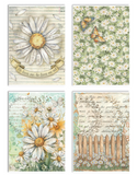 Stamperia A6 Decoupage Paper Daisy Art A6 8 Sheets DFSA6X04