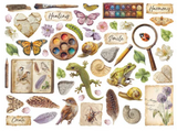 NEW Stamperia All Around Die Cuts Assorted- DFLDC133