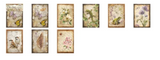 NEW Stamperia A6 Decoupage All Around 8 Assorted Designs DFSA6X06