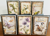 NEW Stamperia All Around Card Kit