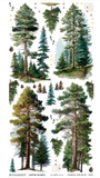 NEW 49 and Market Campfire Memories 6x12 inch Essential Rub On Transfers