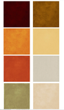 NEW 49 and Market Season's Bounty 12x12 Solid Collection Pack