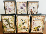 NEW Stamperia All Around Card Kit
