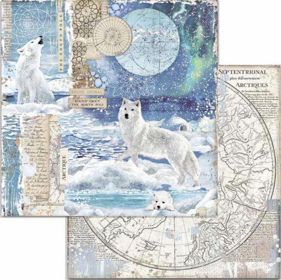 Stamperia 'Arctic - Wolf' - Double Face Paper 30 x 30 SBB733