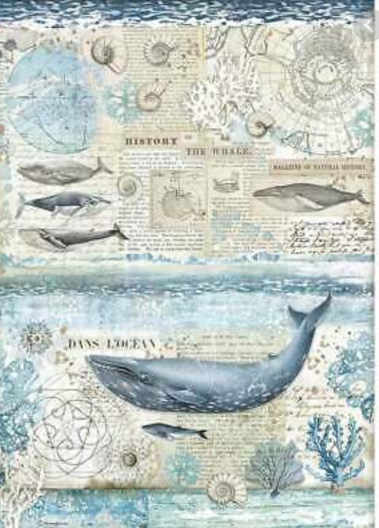 Stamperia A3 Rice Paper - Antarctic Exploration  Whales- DFSA3077