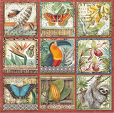 Stamperia 'Amazonia Square Tags"-  Double Face Paper 30 x 30 SBB767