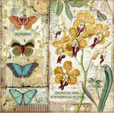 Stamperia 'Amazonia Orchid & Butterfly"-  Double Face Paper 30 x 30 SBB766