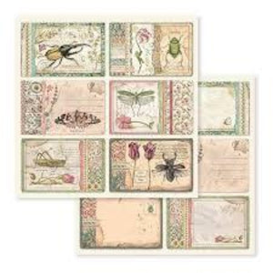 Stamperia Spring Botanic Cards - Double Face Paper 30 x 30 SBB590