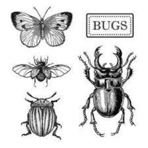 Stamperia Natural Rubber Stamps 10x10cm - Bugs - WTKCC151