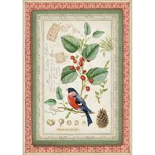Stamperia A4 Decoupage Rice Paper -  Winter Botanic Little Bird DFSA4326