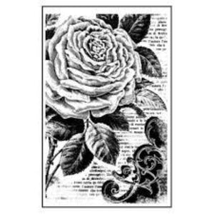 Stamperia Natural Rubber Stamps 7x11cm - Peonies - WTKCC72